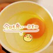 ヒメ日記 2025/02/03 06:44 投稿 石川 すい マーベリック横浜