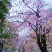 ヒメ日記 2025/03/26 20:34 投稿 石川 すい マーベリック横浜