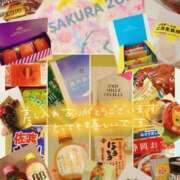 ヒメ日記 2025/03/31 17:14 投稿 石川 すい マーベリック横浜