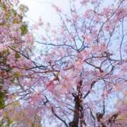 ヒメ日記 2025/04/05 09:10 投稿 石川 すい マーベリック横浜