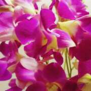 ヒメ日記 2025/04/16 11:05 投稿 石川 すい マーベリック横浜