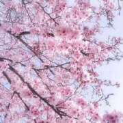 ヒメ日記 2025/04/30 22:54 投稿 石川 すい マーベリック横浜