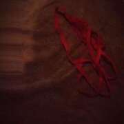 ヒメ日記 2025/05/16 22:24 投稿 石川 すい マーベリック横浜