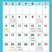 ヒメ日記 2025/06/09 09:34 投稿 石川 すい マーベリック横浜