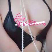 ヒメ日記 2025/07/14 08:34 投稿 石川 すい マーベリック横浜