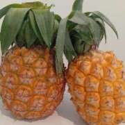 ヒメ日記 2025/08/03 09:35 投稿 石川 すい マーベリック横浜