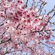 ヒメ日記 2026/03/21 09:44 投稿 石川 すい マーベリック横浜