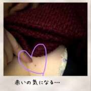 ヒメ日記 2024/12/17 14:42 投稿 小嶋真綾(こじままあや) 五十路マダムエクスプレス厚木店(カサブランカグループ)