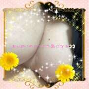 ヒメ日記 2025/09/04 01:04 投稿 小嶋真綾(こじままあや) 五十路マダムエクスプレス厚木店(カサブランカグループ)