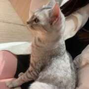 ヒメ日記 2025/01/13 09:54 投稿 せれな チューリップ福井本館