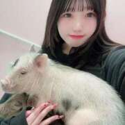 ヒメ日記 2025/02/02 10:04 投稿 せれな チューリップ福井本館