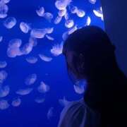 ヒメ日記 2025/07/18 18:45 投稿 せれな チューリップ福井本館