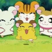 ヒメ日記 2025/08/10 07:04 投稿 せれな チューリップ福井本館