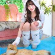 ヒメ日記 2025/08/24 15:54 投稿 せれな チューリップ福井本館