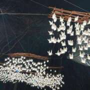 ヒメ日記 2025/01/19 21:43 投稿 ねね 和楽(わらく)