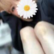 ヒメ日記 2025/01/29 10:54 投稿 碧 Arrest（アレスト）