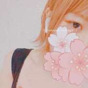 ヒメ日記 2025/02/02 19:46 投稿 碧 Arrest（アレスト）