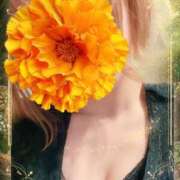 ヒメ日記 2025/02/09 23:02 投稿 碧 Arrest（アレスト）