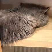 ヒメ日記 2024/12/19 03:30 投稿 れん 人妻小旅行