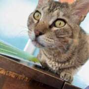 ヒメ日記 2025/01/10 01:50 投稿 れん 人妻小旅行