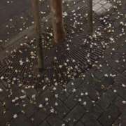 ヒメ日記 2025/06/16 02:22 投稿 れん 人妻小旅行