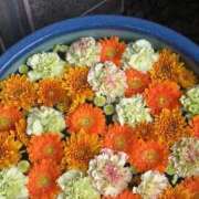 ヒメ日記 2025/11/03 09:57 投稿 れん 人妻小旅行