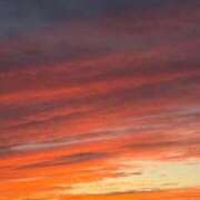 ヒメ日記 2025/11/06 22:57 投稿 れん 人妻小旅行