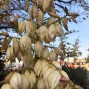 ヒメ日記 2025/11/11 02:57 投稿 れん 人妻小旅行