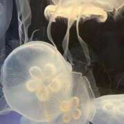 ヒメ日記 2025/12/27 12:37 投稿 れん 人妻小旅行