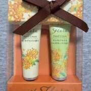 ヒメ日記 2025/12/29 00:27 投稿 れん 人妻小旅行