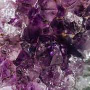 れん つくし見つけた。 人妻小旅行