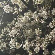 れん 休息中です。 人妻小旅行