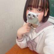 ヒメ日記 2024/12/13 18:54 投稿 みり 学園collection