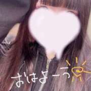 ヒメ日記 2025/02/27 16:33 投稿 あゆ 派遣型リフレ秋葉原　JK SEVEN