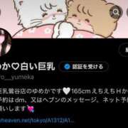 ヒメ日記 2025/01/14 01:49 投稿 ゆめか 白い巨乳