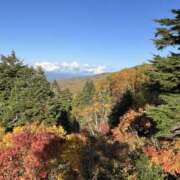 ヒメ日記 2025/12/03 03:27 投稿 さくら しゅうかつ倶楽部