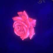 ヒメ日記 2026/01/13 02:38 投稿 さくら しゅうかつ倶楽部