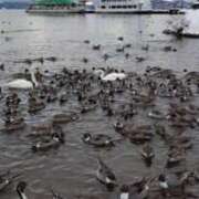 さくら お早うございます💕 しゅうかつ倶楽部