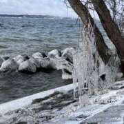 さくら 出勤します❗️ しゅうかつ倶楽部