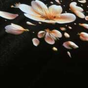 ヒメ日記 2026/04/22 09:53 投稿 さくら しゅうかつ倶楽部