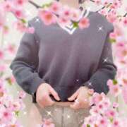 ヒメ日記 2025/03/31 16:28 投稿 風間みく 月の真珠-新宿-