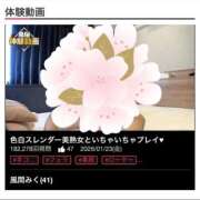 ヒメ日記 2026/03/31 20:33 投稿 風間みく 月の真珠-新宿-