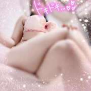 ヒメ日記 2025/01/19 07:29 投稿 うに THE ESUTE HOUSE 柴田