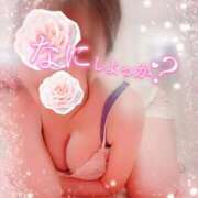 ヒメ日記 2025/03/12 09:19 投稿 うに THE ESUTE HOUSE 柴田