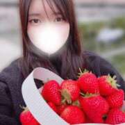 ヒメ日記 2025/04/23 10:49 投稿 うに THE ESUTE HOUSE 柴田