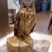 ヒメ日記 2025/07/20 13:50 投稿 うに THE ESUTE HOUSE 柴田