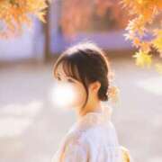 ヒメ日記 2025/07/14 15:30 投稿 れみ（シルバーキャスト） VIPクリスタル