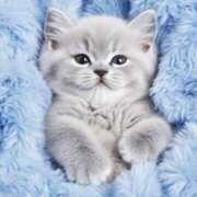 ヒメ日記 2025/04/02 19:07 投稿 ももは 2980円