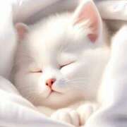 ヒメ日記 2025/04/03 09:36 投稿 ももは 2980円