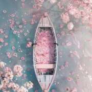 ヒメ日記 2025/04/04 08:56 投稿 ももは 2980円